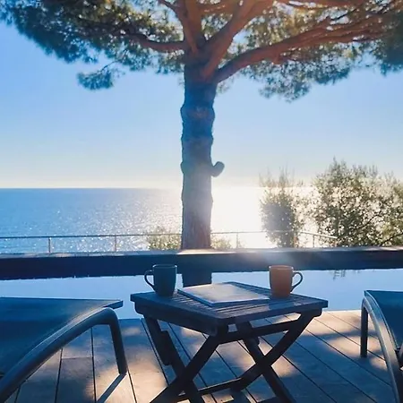 Villa A Fautea, 8 Pers, Piscine Chauffee, Pieds Dans L'eau