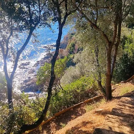 Villa A Fautea, 8 Pers, Piscine Chauffee, Pieds Dans L'eau Conca