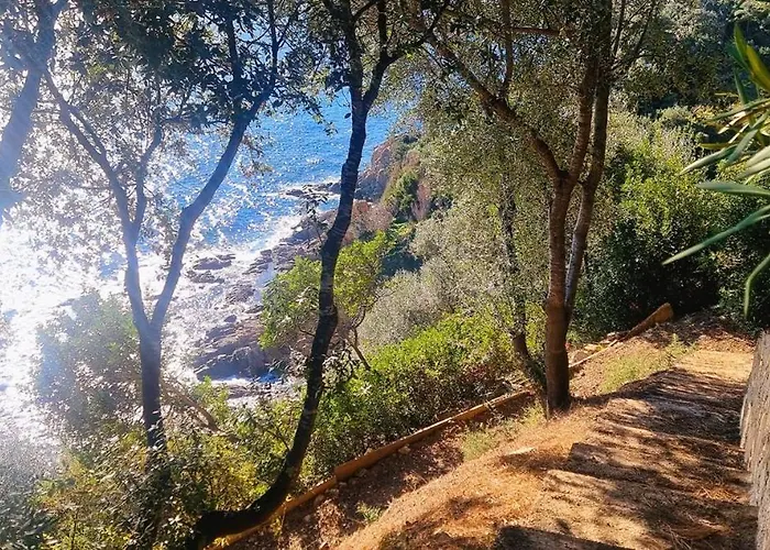 Villa A Fautea, 8 Pers, Piscine Chauffee, Pieds Dans L'eau Conca