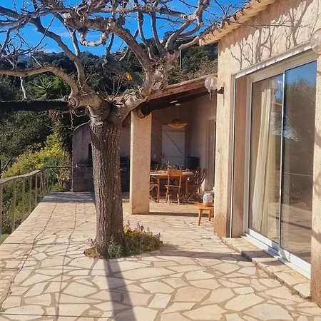 别墅 A Fautea, 8 Pers, Piscine Chauffee, Pieds Dans L'eau