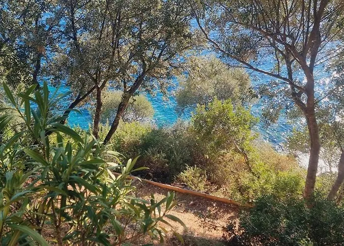 A Fautea, 8 Pers, Piscine Chauffee, Pieds Dans L'eau Vila *